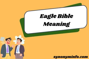 Eagle Bible Meaning Spiritual Symbolism and Lessons from the Scriptures 2026