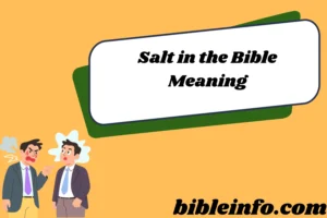 Salt in the Bible Meaning: Understanding Its Spiritual and Symbolic Significance2026